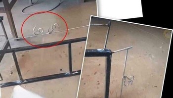 Kalau terlalu mengikuti instruksi kelewat sungguh-sungguh. Foto: clinter via Bored Panda