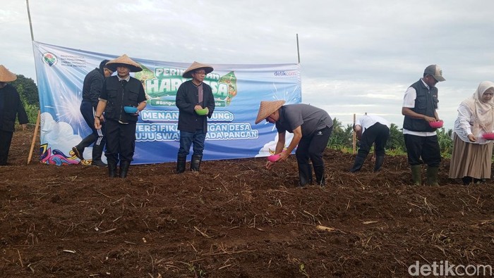 Mendes PDT Yandri Susanto dan jajaran Kemendes menanam jagung di Cisaat, Subang