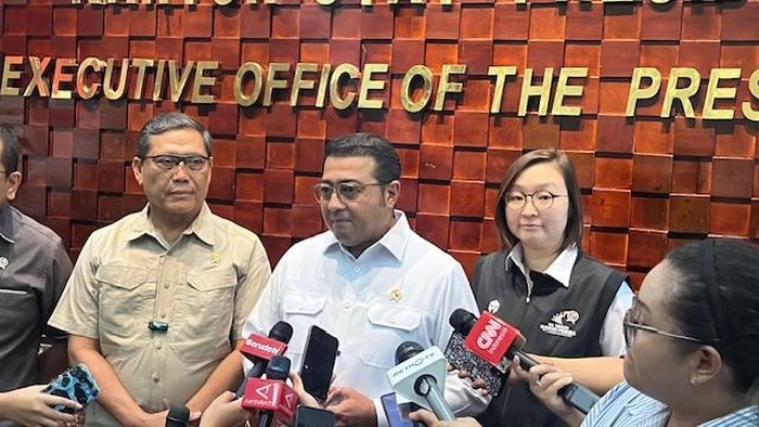 Menteri Ekonomi dan Kreatif (Ekraf) Teuku Riefky Harsya (Eva/detikcom)