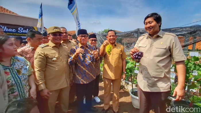 Momen para menteri panen di Desa Cibeureum Kulon, Kecamatan Cimalaka, Sumedang, Rabu (15/1/2025).