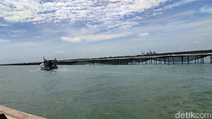 Pagar laut 30 km di Kabupaten Tangerang, 15 Januari 2024. (Bahtiar Rifai/detikcom)
