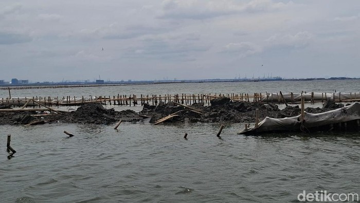 Pagar laut di Bekasi
