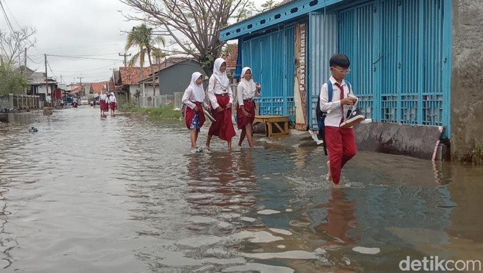Para siswa SD di Desa Eretan Wetan, Kecamatan Kandanghaur, Kabupaten Indramayu melangkah pulang ke rumah lewati genangan banjir rob