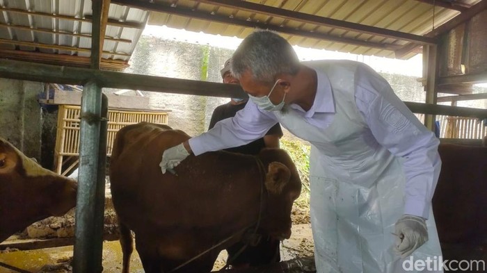 Pemeriksaan di peternakan milik Tulijan di Kecamatan Gebang