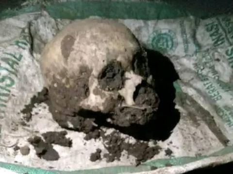 Penemuan tengkorak manusia di Hutan Balapulang, Tegal, pada Jumat (10/1/2025) malam.