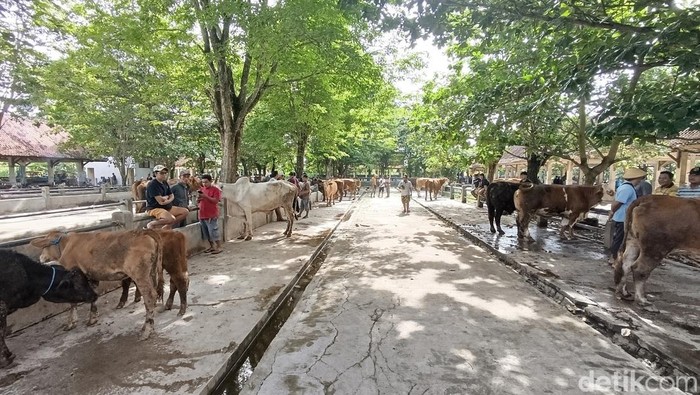 Kondisi Pasar Hewan Ambarketawang Gamping yang sepi dari aktivitas jual beli, Rabu (15/1/2025).