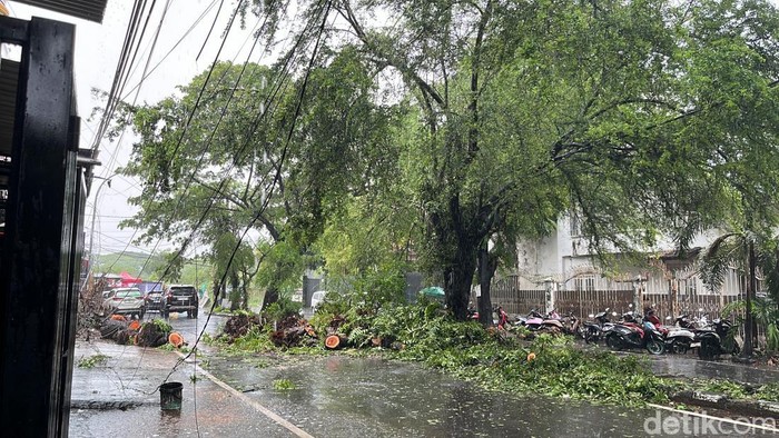 Pohon tumbang menimpa pengendara mobil dan motor di Makassar. Sahrul Alim/detikSulsel