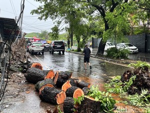Waspada, 34 Ruas Jalan di Makassar Rawan Pohon Tumbang