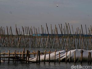 Polisi Temukan Lagi Pemalsuan 201 Sertifikat Terkait Pagar Laut di Bekasi