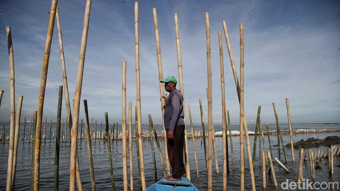 Pagar bambu di pesisir laut Desa Segarajaya, Kecamatan Tarumajaya, Kabupaten Bekasi, merupakan proyek pemerintah. Namun pagar itu menyulitkan nelayan melintas.