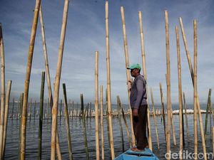 Kasus Pagar Laut di Bekasi, Dedi Mulyadi Soroti Pemberian Sertifikat