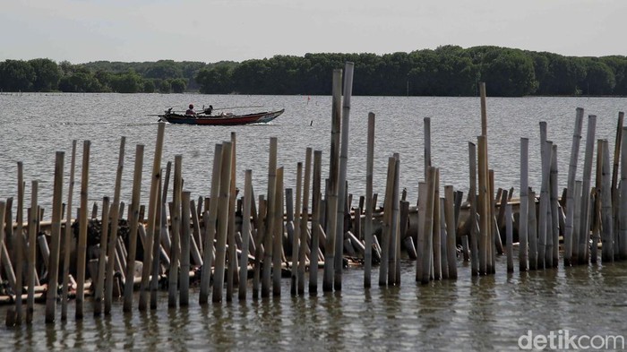 Pagar bambu di pesisir laut Desa Segarajaya, Kecamatan Tarumajaya, Kabupaten Bekasi, merupakan proyek pemerintah. Namun pagar itu menyulitkan nelayan melintas.