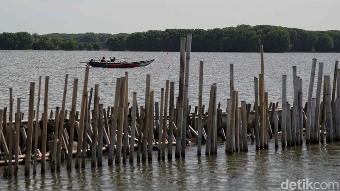 Potret Pagar Bambu di Laut Bekasi Pagar bambu di pesisir laut Desa Segarajaya, Kecamatan Tarumajaya, Kabupaten Bekasi, merupakan proyek pemerintah. Namun pagar itu menyulitkan nelayan melintas.