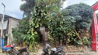 Pemandangan bagian depan tempat tinggal Nanang Gimbal tertutup pagar dari banyak pohon. Foto: Febri/detikHOT