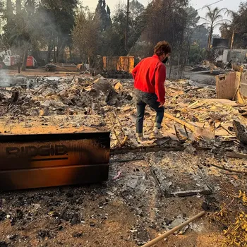 Suami Mandy Moore, Taylor Goldsmith, menyusuri reruntuhan bangunan akibat kebakaran LA