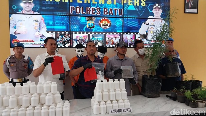 Tanaman ganja yang ditanam di rumah pria asal Malang diduga bandar ganja.