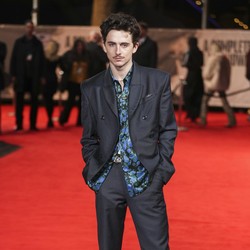 Timothee Chalamet Dapat Pesan Teks Lucu dari Leonardo DiCaprio soal Rambutnya