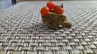 Saking kecilnya ukuran tomat yang dipanen netizen ini, tomatnya sampai bisa diangkut pakai miniatur gerobak. Foto: Demilked/Site