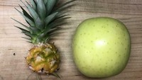 Tanam buah nanas dan apel, netizen ini dibuat tertawa dengan ukuran buah-buahnya yang tak masuk akal ini. Foto: Demilked/Site