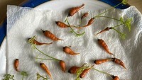 Meski banyak, tapi hasil panen netizen ini mengecewakan karena ukuran wortel yang kecil dan layu. Foto: Demilked/Site
