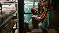 Maggot yang dapat mengurai sampah organik itu diberi pakan sebanyak 20 kg sampah organik dari lingkungan sekitar, dipanen untuk pakan ikan dan penghasil pupuk organik.  
