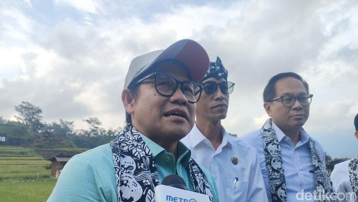 Cak Imin. (Dwi Rahmawati/detikcom).