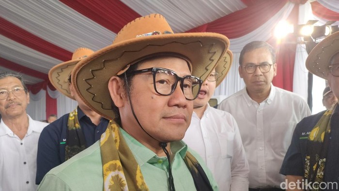 Cak Imin. (Dwi Rahmawati/detikcom).