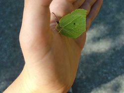 Foto yang Dapat Mengecoh Mata, Harus Jeli Banget Lihatnya