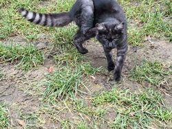 Foto yang Dapat Mengecoh Mata, Harus Jeli Banget Lihatnya