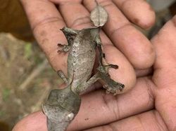 Foto yang Dapat Mengecoh Mata, Harus Jeli Banget Lihatnya