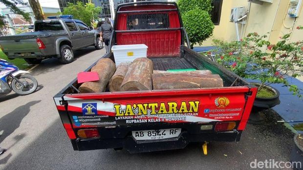 Lima potong kayu yang dicuri pelaku di kawasan hutan negara, Paliyan, Gunungkidul.