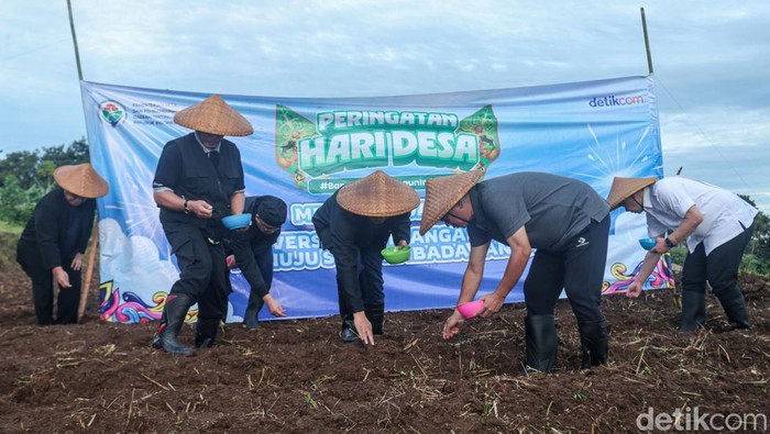 Menteri Desa dan Pembangunan Daerah Tertinggal Yandri Susanto bersama Wamendes Riza Patria berfoto usai menanam jagung bersama di Desa Cisaat, Subang, Jawa Barat, Rabu (15/1/2025).