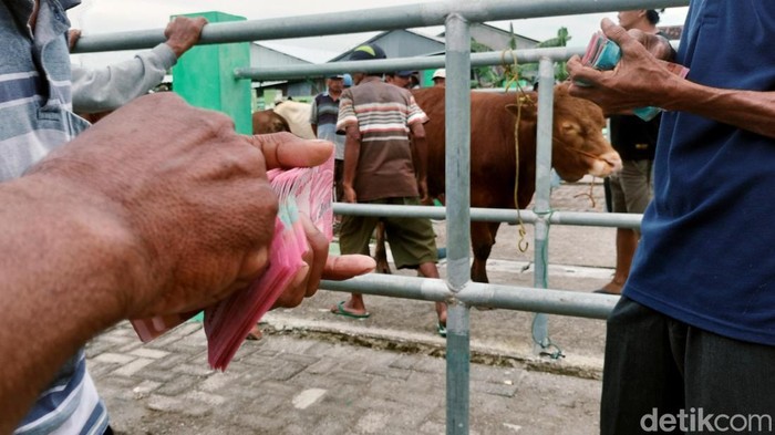 Suasana Pasar Hewan di Bojonegoro sepi imbas wabah PMK. Transaksi jual-beli sapi menurun