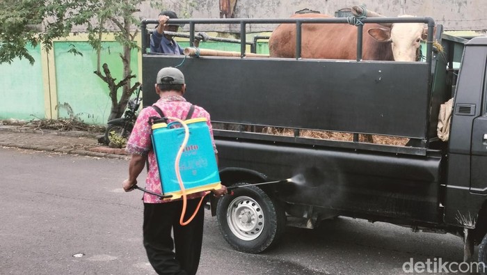Suasana Pasar Hewan di Bojonegoro sepi imbas wabah PMK. Transaksi jual-beli sapi menurun