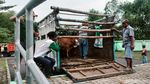 Pasar Hewan Bojonegoro Sepi Imbas Wabah PMK
