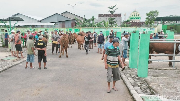 Pasar hewan di Bojonegoro