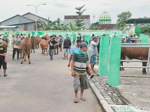 Pasar Hewan di Bojonegoro Tetap Buka Meski Wabah PMK Tinggi