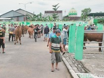 Pasar Hewan di Bojonegoro Tetap Buka Meski Wabah PMK Tinggi