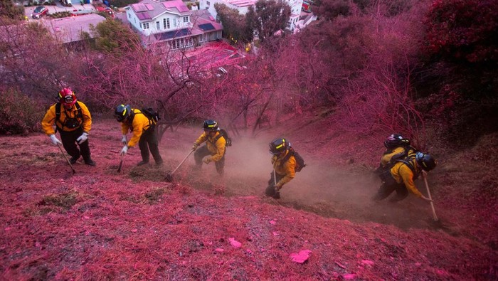 Firefighters work to clear a firebreak on a hillside covered with retardant as the Palisades Fire, one of several simultaneous blazes that have ripped across Los Angeles County, burns in Mandeville Canyon, a neighborhood of Los Angeles, California, U.S., January 12, 2025. REUTERS/Ringo Chiu
 TPX IMAGES OF THE DAY