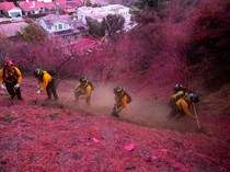Penampakan Los Angeles Diselimuti Bubuk Pink
