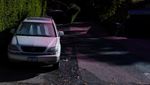 Penampakan Los Angeles Diselimuti Bubuk Pink