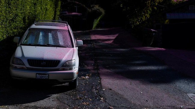 Fungsi Bubuk Pink yang Disebar di Atas Kebakaran Los Angeles