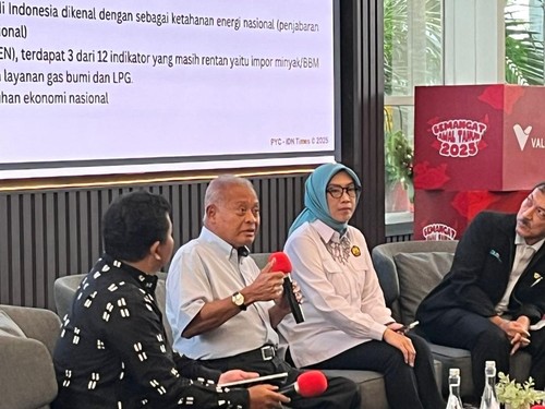 Target Bauran Energi Sulit Tercapai, Minta Direvisi