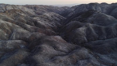 Perbukitan di Los Angeles Gundul Dilalap Api