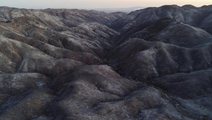 Perbukitan di Los Angeles Gundul Dilalap Api A drone view shows a CalFire crew mopping up hotspots from the burn scar of the Palisades Fire near Mulholland Drive in Los Angeles, California, U.S., January 15, 2025. REUTERS/David Swanson