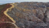 Lanskap berbukit di wilayah Los Angeles terlihat gundul dan menghitam akibat dilalap api kebakaran hutan.