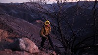 Hingga Selasa (15/1) malam, kebakaran di Palisades telah menghanguskan lebih dari 23.700 hektare lahan dan yang berhasil dikendalikan baru 18 persen.