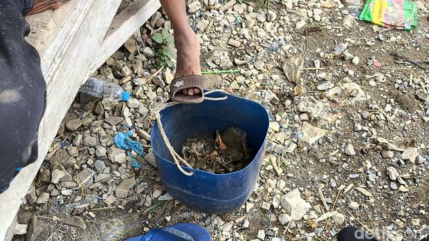 Shaeri dan istrinya sedang membereskan jaring selepas menangkap ikan di Dermaga Jalan Kerang, Desa Waruduwur, Kecamatan Mundu, Kabupaten Cirebon