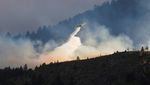 Tak Hanya LA, Patagonia Argentina Juga Dilanda Kebakaran Hutan