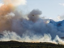 Tak Hanya LA, Patagonia Argentina Juga Dilanda Kebakaran Hutan